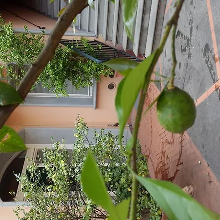 Aparthotel Palazzo Virginio Florencie